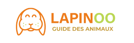 lapinoo